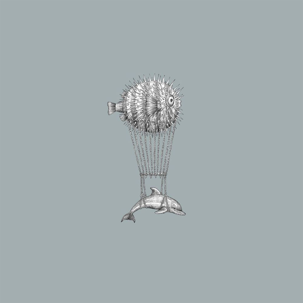 Fish montgolfiers / RC-11