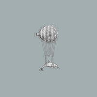 Fish montgolfiers / RC-11
