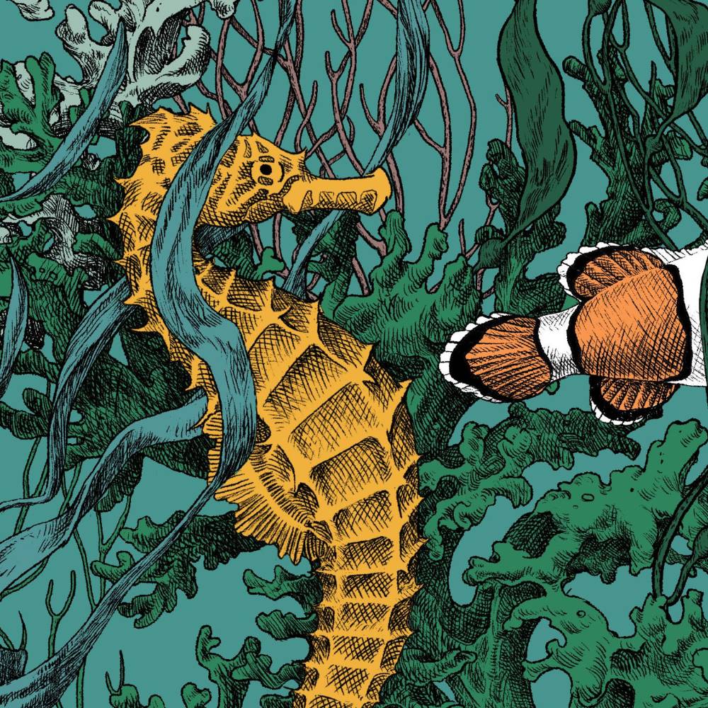 Coral reef / RC-09