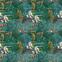 Coral reef / RC-09