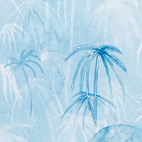 Papyrus and light / BC-04