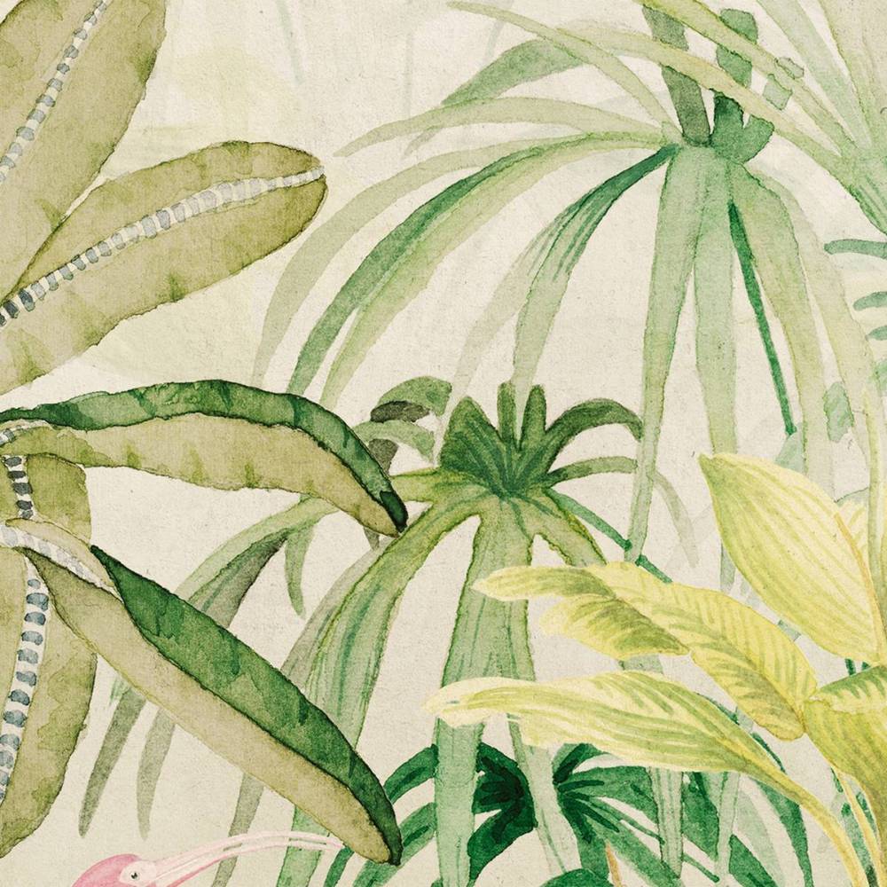Jungle boogie / AO-09
