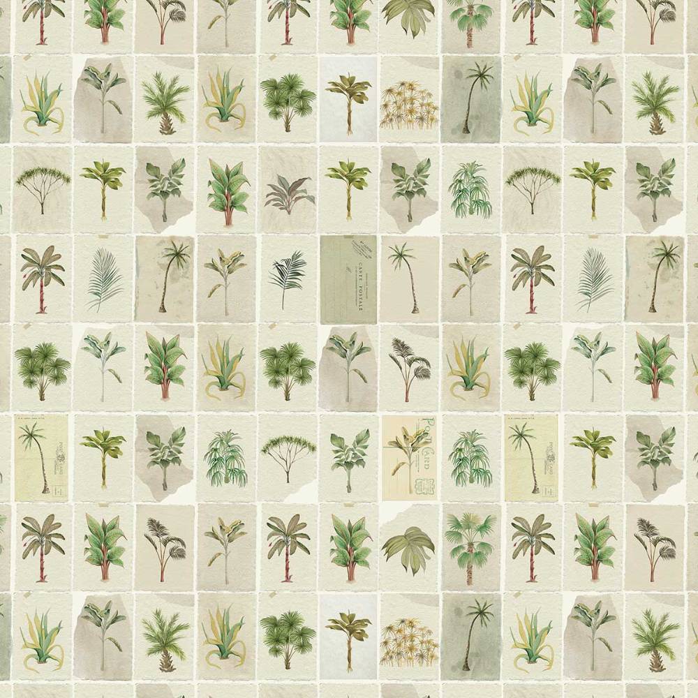 Postcards from the Tropics / AO-21