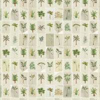 Postcards from the Tropics / AO-21