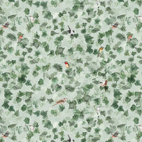 Secret ivy / AO-22