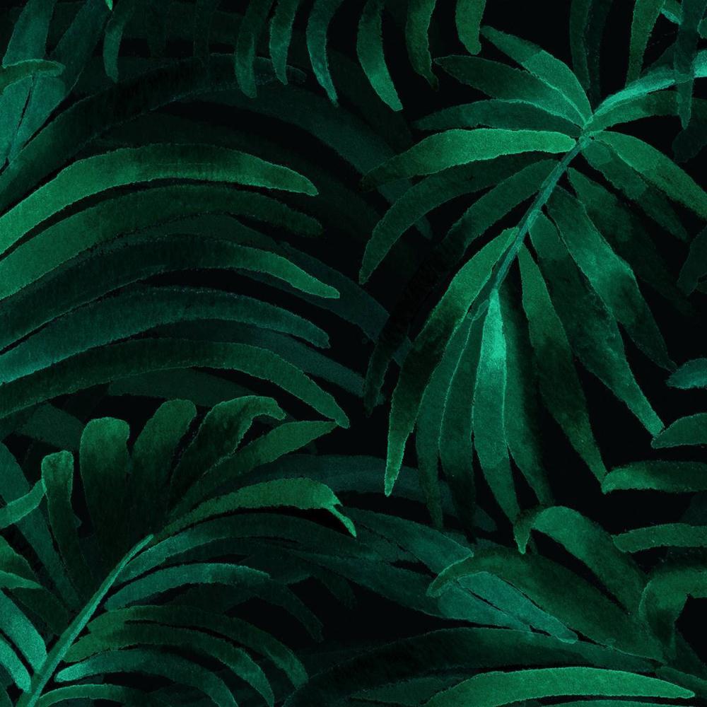 Palm plethora / AO-08