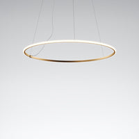 Olympic Pendant Lamp