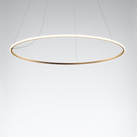 Olympic Pendant Lamp