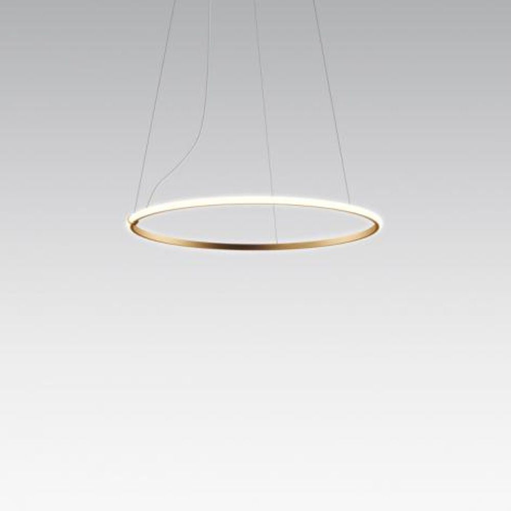 Olympic Pendant Lamp