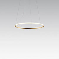 Olympic Pendant Lamp