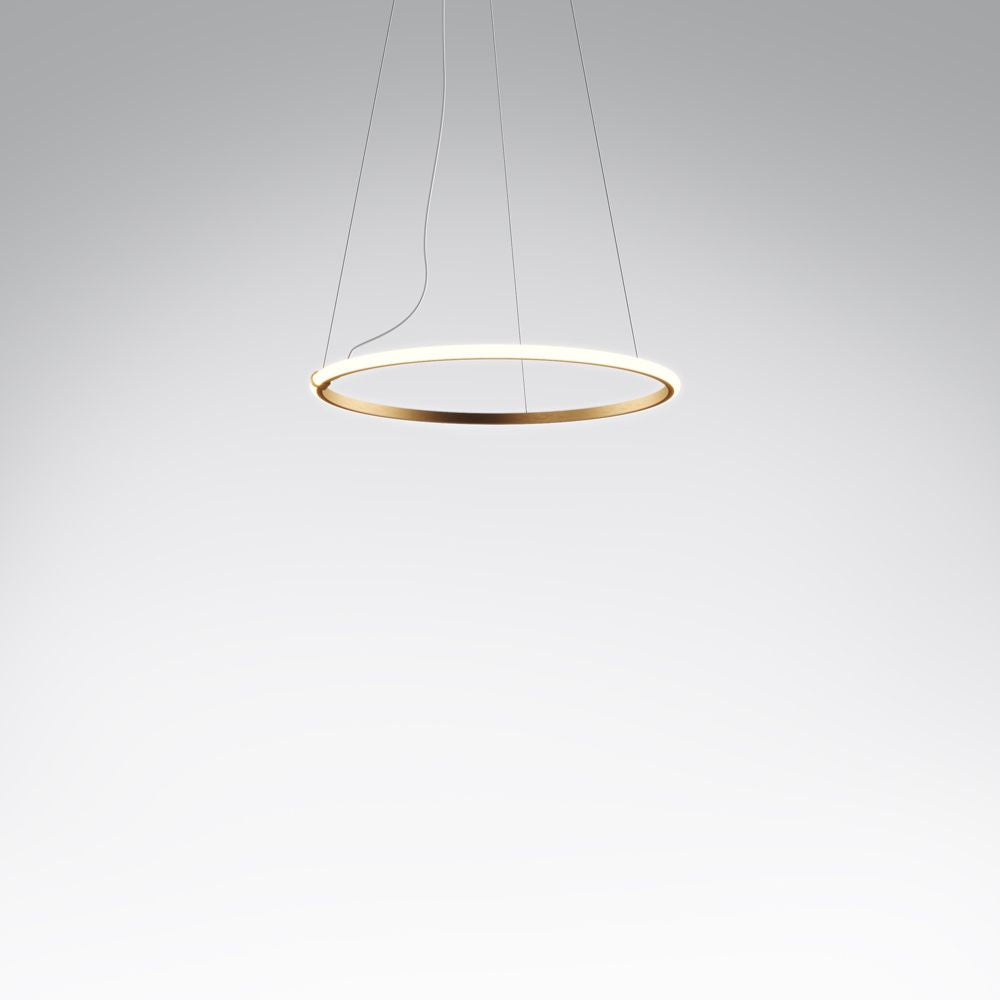 Olympic Pendant Lamp