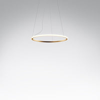 Olympic Pendant Lamp