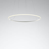 Olympic Pendant Lamp