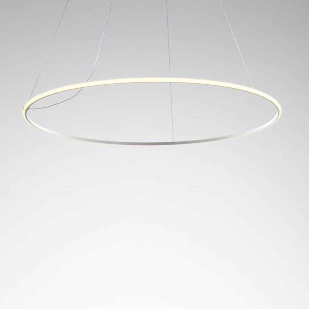 Olympic Pendant Lamp