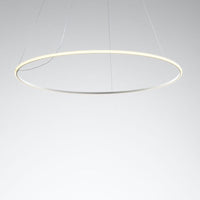 Olympic Pendant Lamp