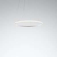 Olympic Pendant Lamp