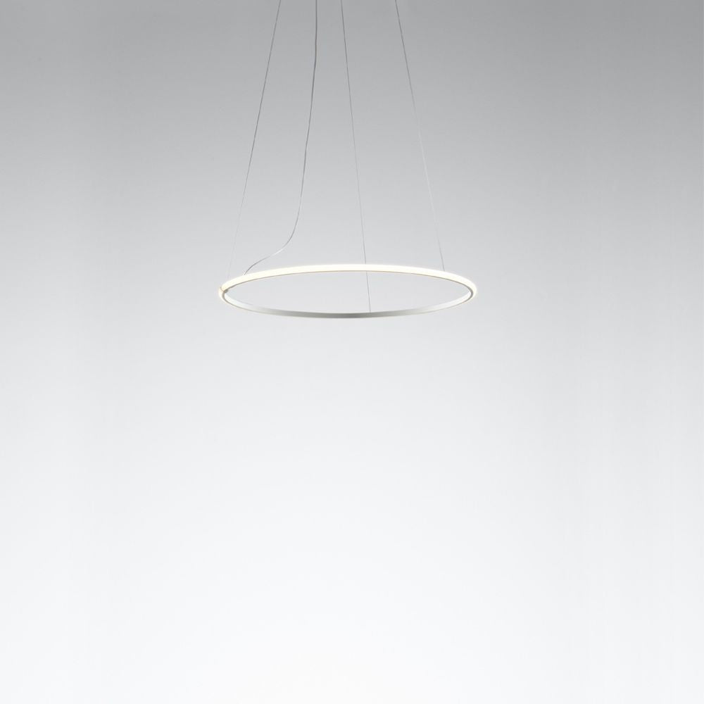 Olympic Pendant Lamp