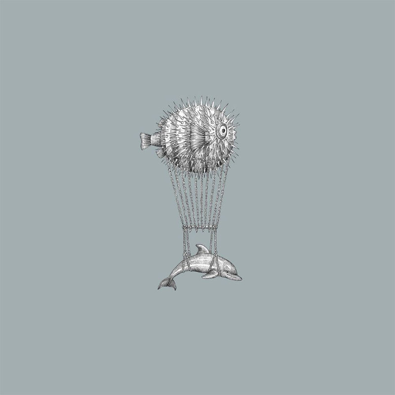 Fish montgolfiers / RC-11