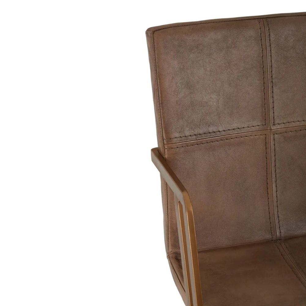 Dakota Brown Leather (Set of 2)