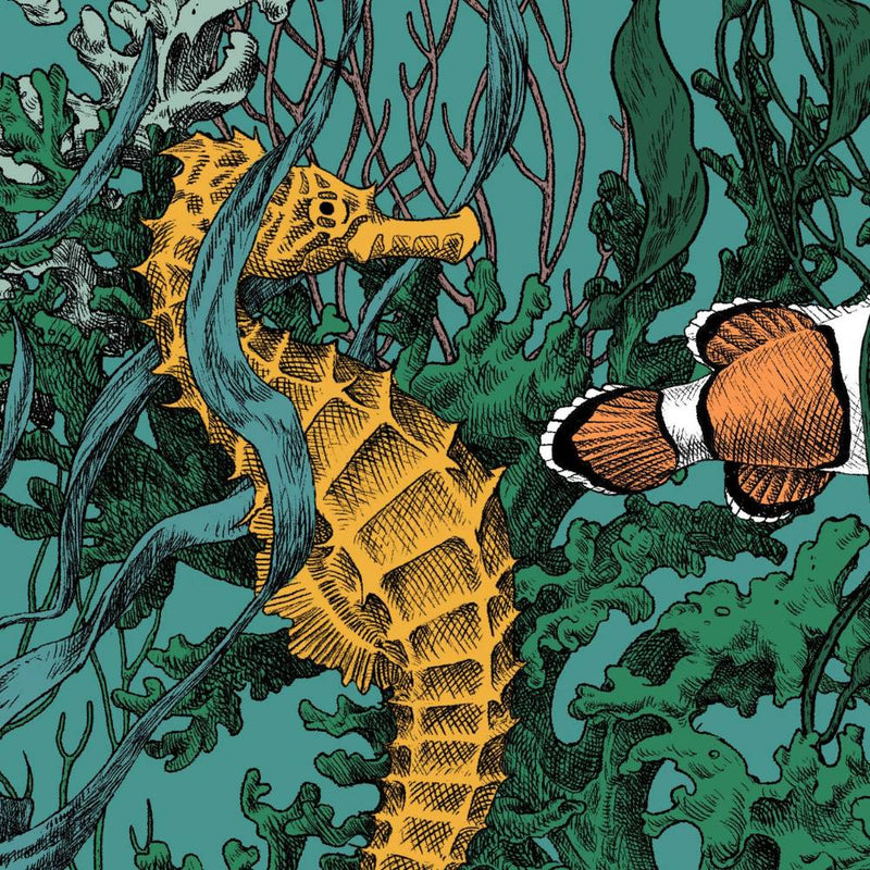 Coral reef / RC-09