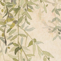 Mediterranean gold / MD-10