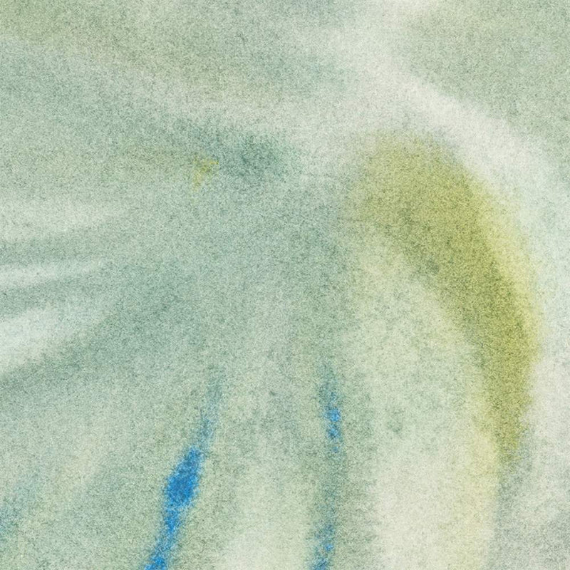 Misty palms / MD-17