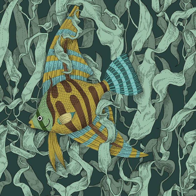 Seaweed / RC-07
