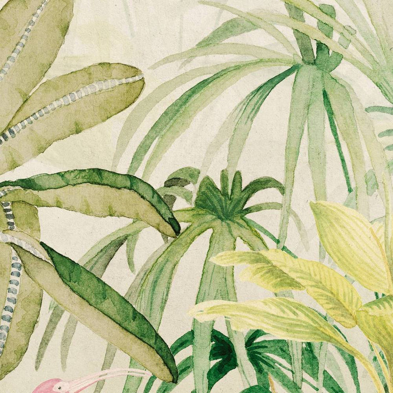 Jungle boogie / AO-09