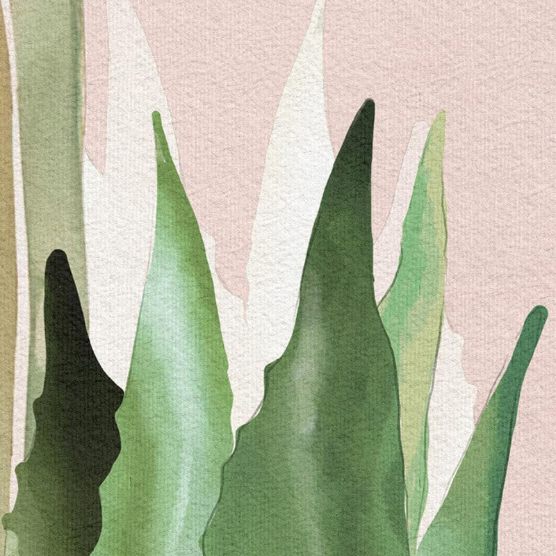 Captivating cactii / AO-23