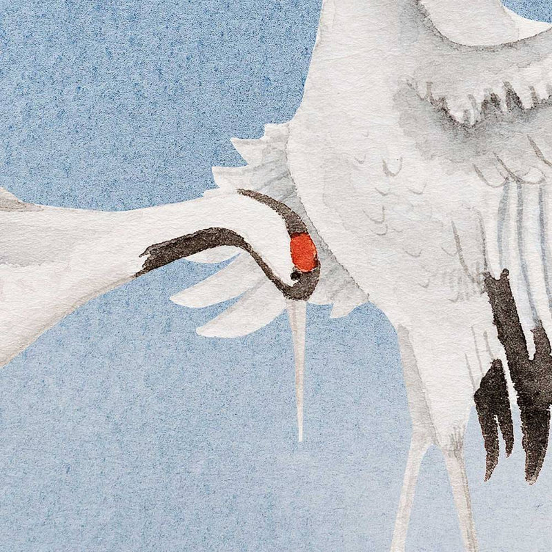 Dancing cranes / AO-16