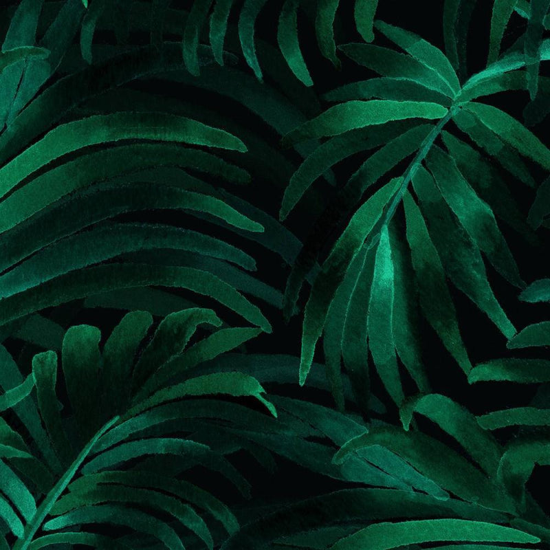Palm plethora / AO-08